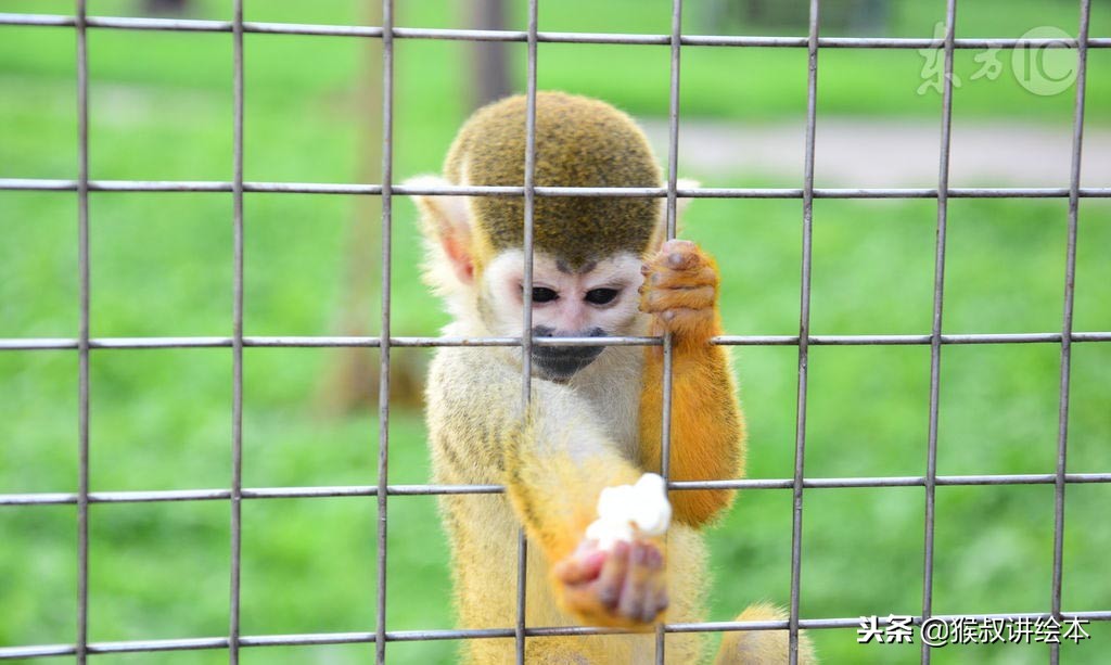时隔多年再读一本书,时隔三十年的书籍