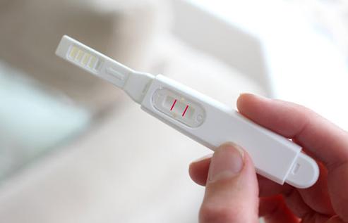 中招报名怎么查是否报名告捷,怀孕中招几率