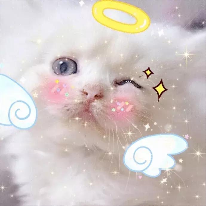 汗蒸如何享受,汗蒸实惠