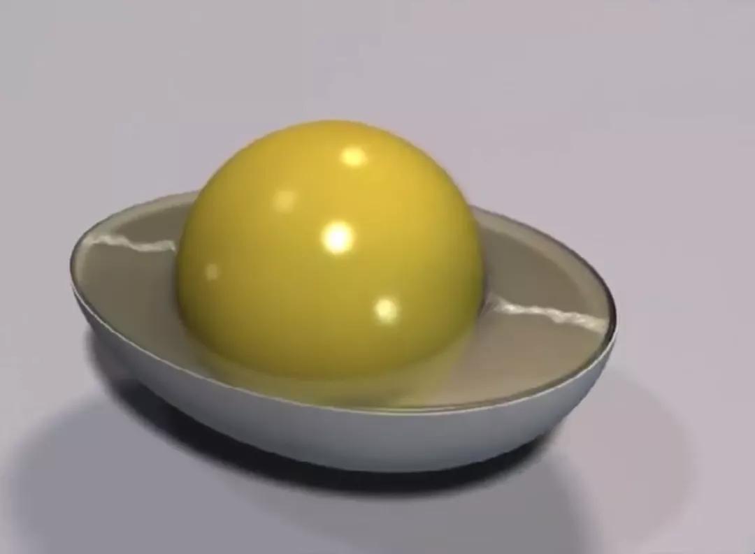 超生动|家禽生殖系统结构和禽蛋形成过程