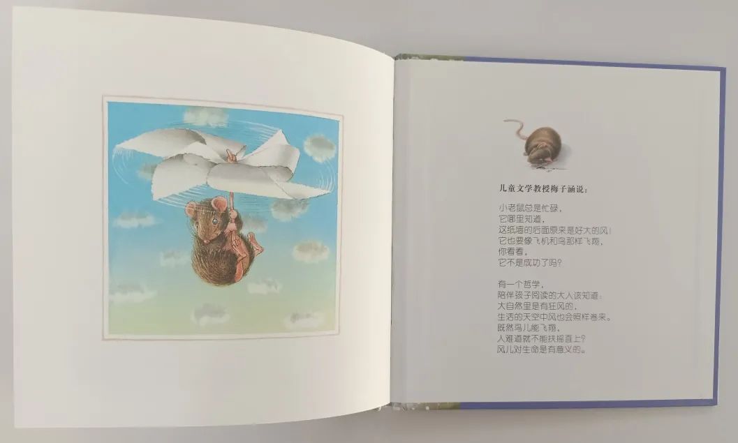 无字绘本老鼠,绘本懒散小老鼠是怎么介绍的