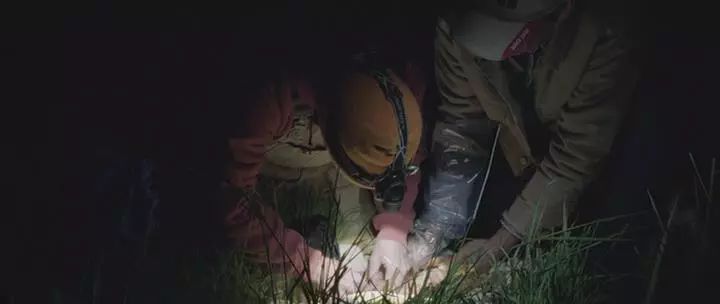 田园牧歌有哪些,田园牧歌纪录片