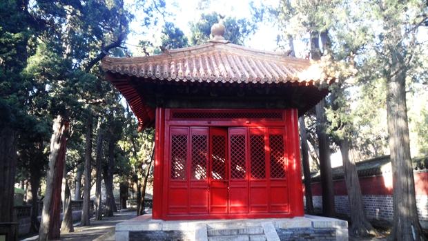 孔林是最大的氏族墓地吗,孔林最大墓葬群