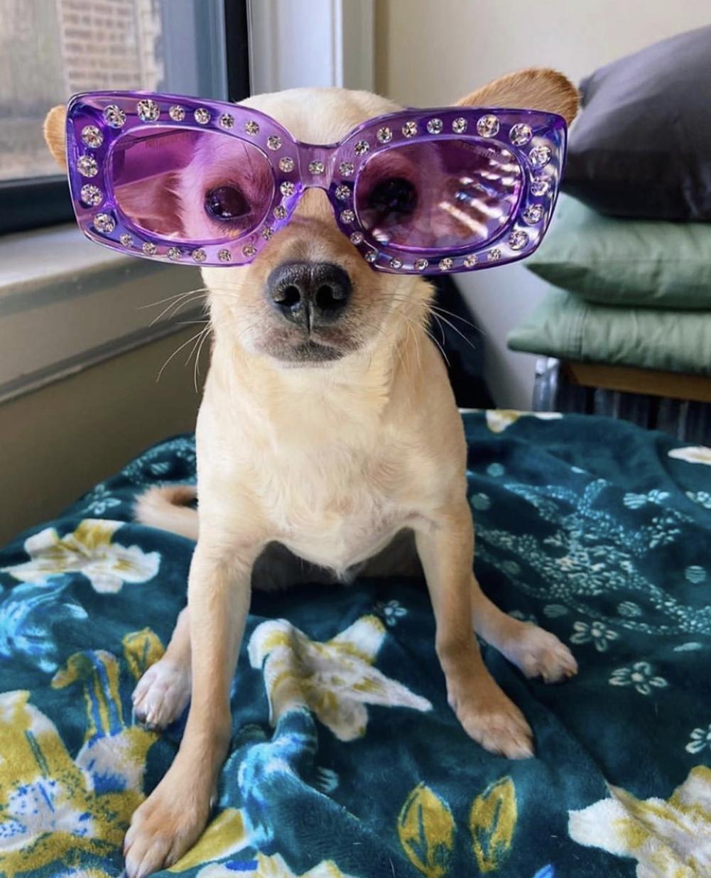 女士怎么挑选合适自己的墨镜,怎么选墨镜框合适脸型