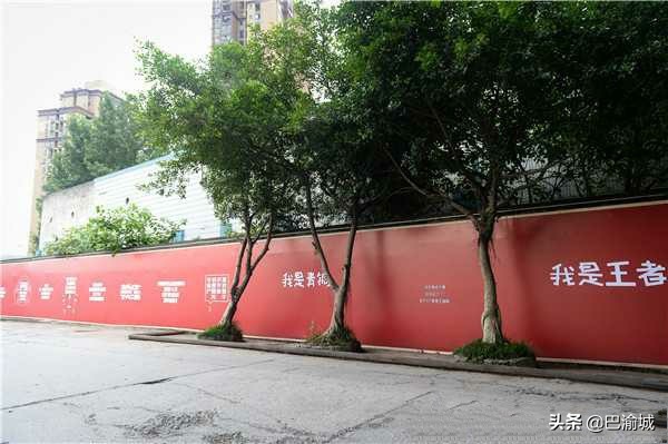 重庆一驾校应标语成网红，笑中带泪拿驾照