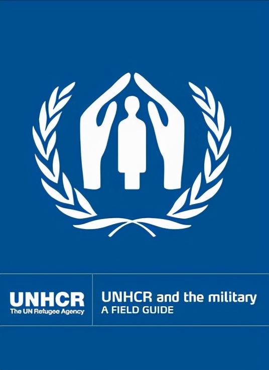 国际组织旗帜标志一览,象征世界和平的国际组织旗帜
