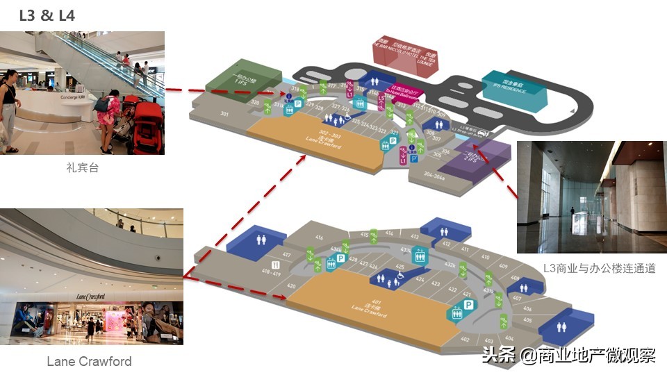 在成都看ifs熊猫,成都ifs上的爬墙大熊猫
