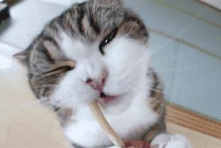 最流行的轻奢包包,十大最值得入手的轻奢包包