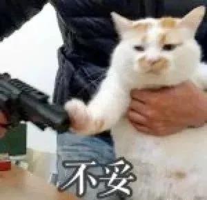 晚清末年，人们认为猫毛蓄电能够治病