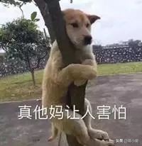 当飞机餐来的时候
