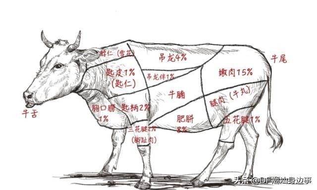 告诉大家一个吃牛肉的窍门,牛年吃牛肉的正确打开方式