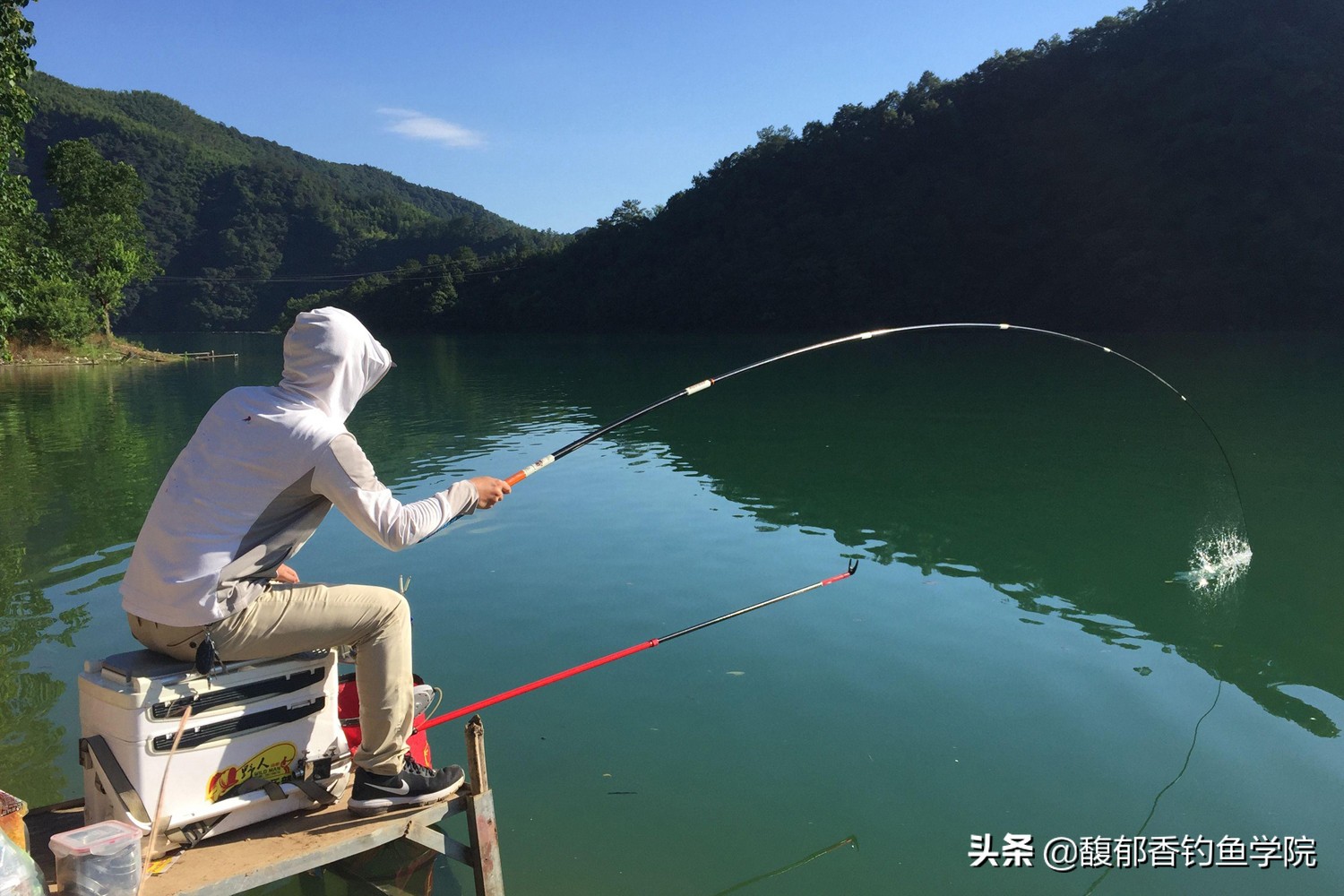 怎样钓鱼鱼才容易上钩,钓鱼的技巧怎样能够更快钓到鱼