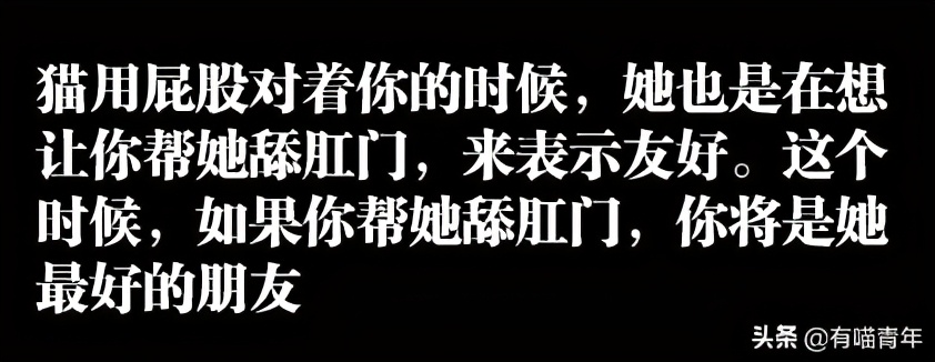 为什么对着猫吹气它会生气 (对着猫吹气)