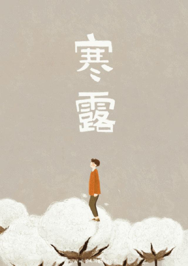 寒露受了寒气怎么排出,今日寒露要注意什么