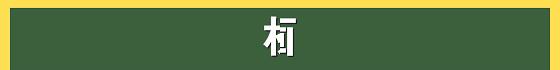 正式版｜慢性乙型肝炎防治指南（2019年版）