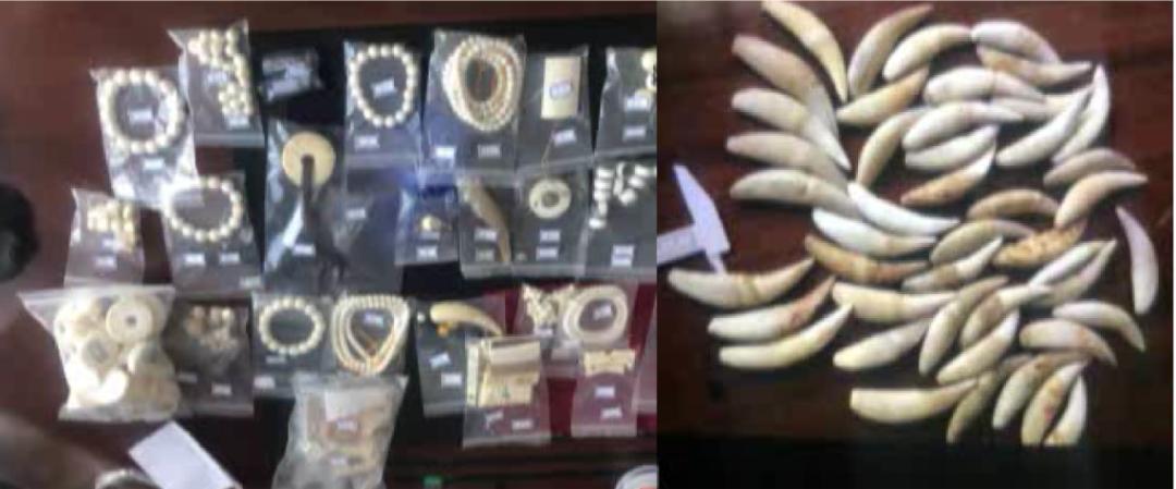 今日说法|他对妈妈说自己在做海外代购，却不让妈妈知道自己的代购涉嫌犯罪