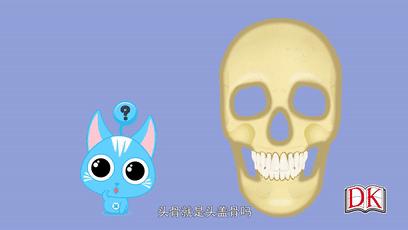 dk玩出来的百科开启数学之旅,DK玩出来的百科