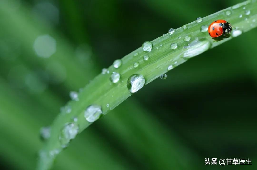 清明|身体浊气“清”到位，静心养肺舒肝胆