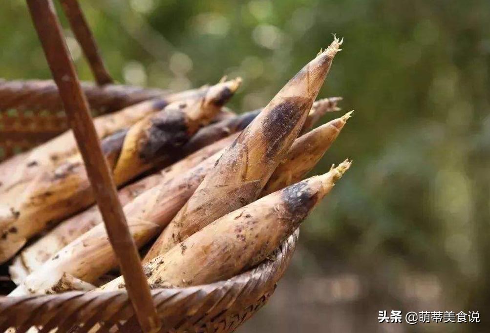 时令蔬菜竹笋怎么吃都能够,哪些竹笋好吃又营养