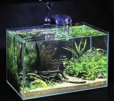 古法养鱼新缸表面油膜如何处理,除油膜过滤器里面能够放滤材