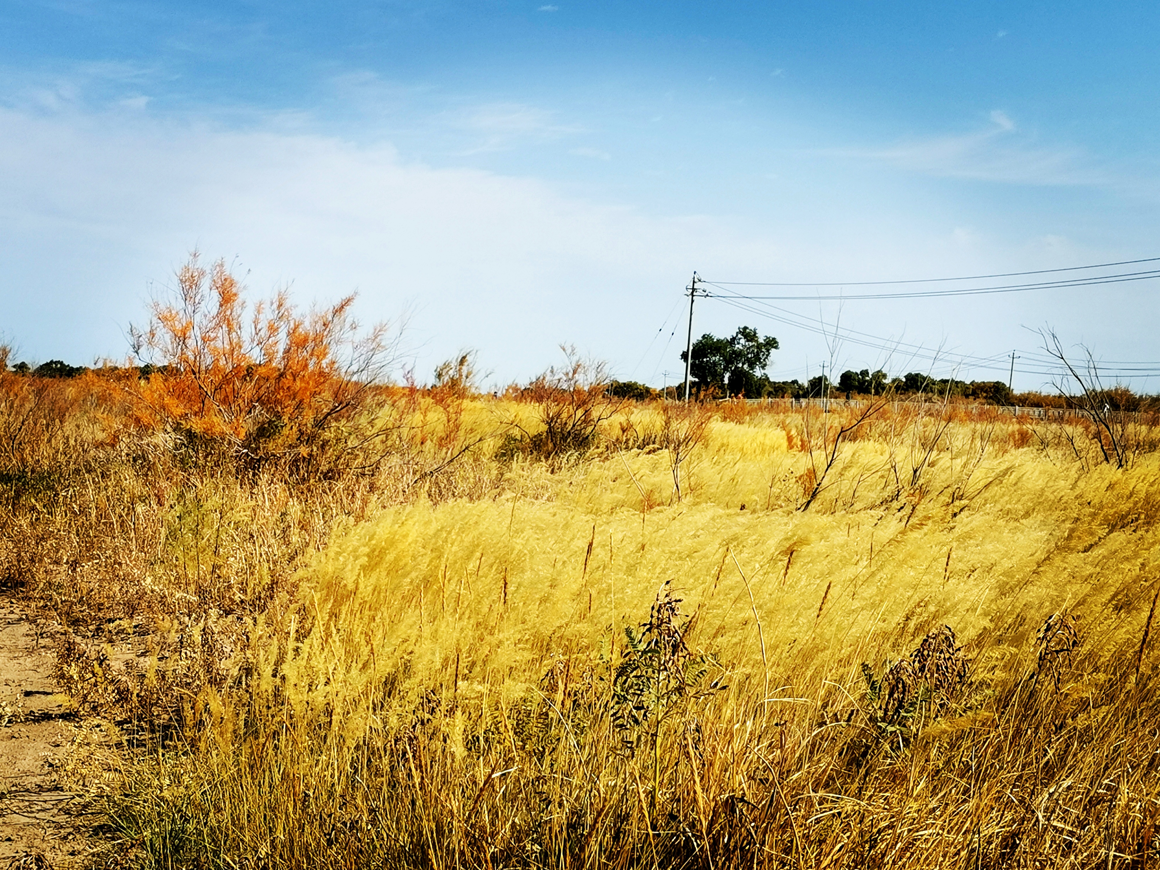 李商隐研究内容有,李商隐研究课题