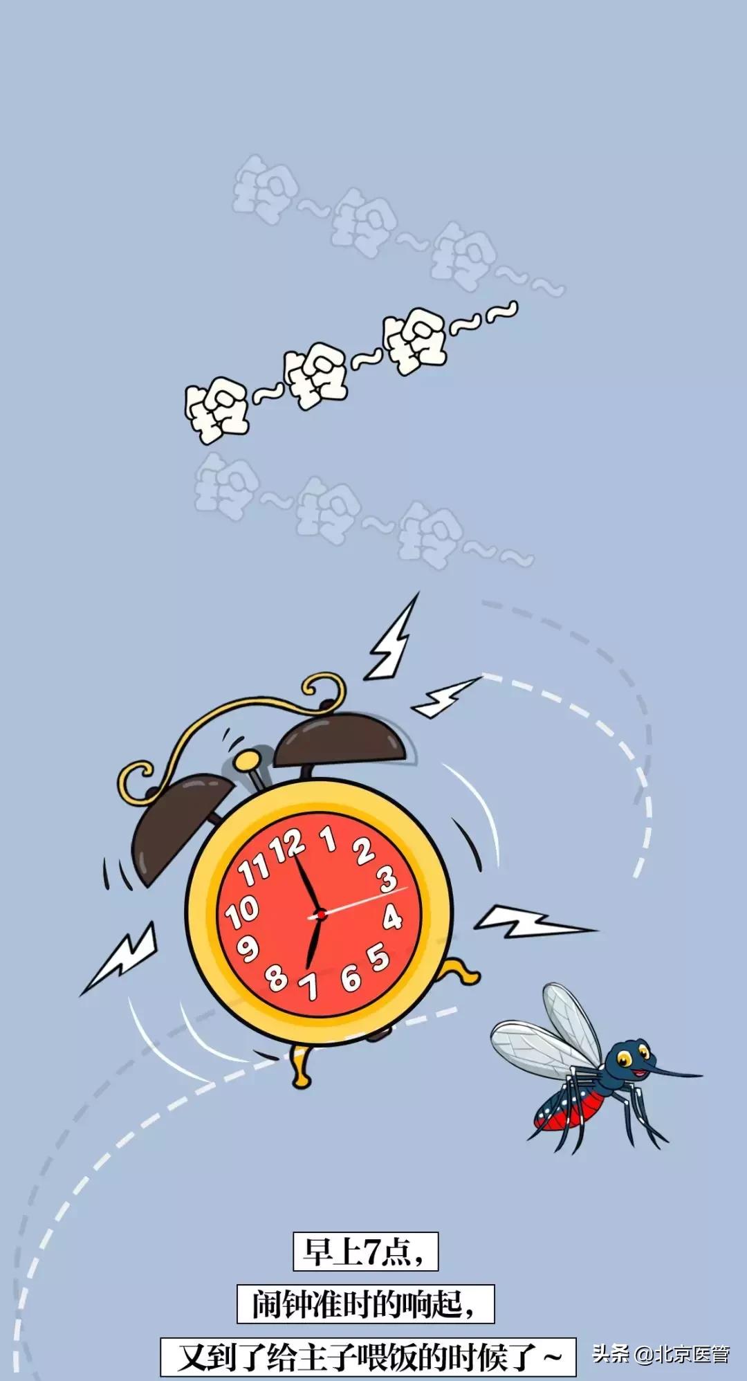 夏天蚊子太烦人教驱蚊的绝招,夏天怎么预防蚊子最有效