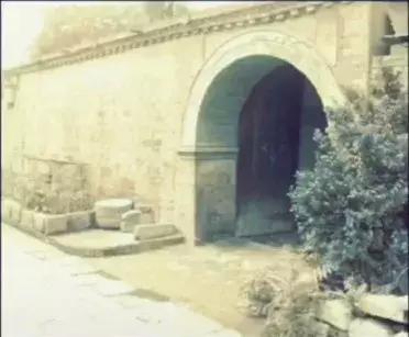 夹缝里生存,夹缝中生存