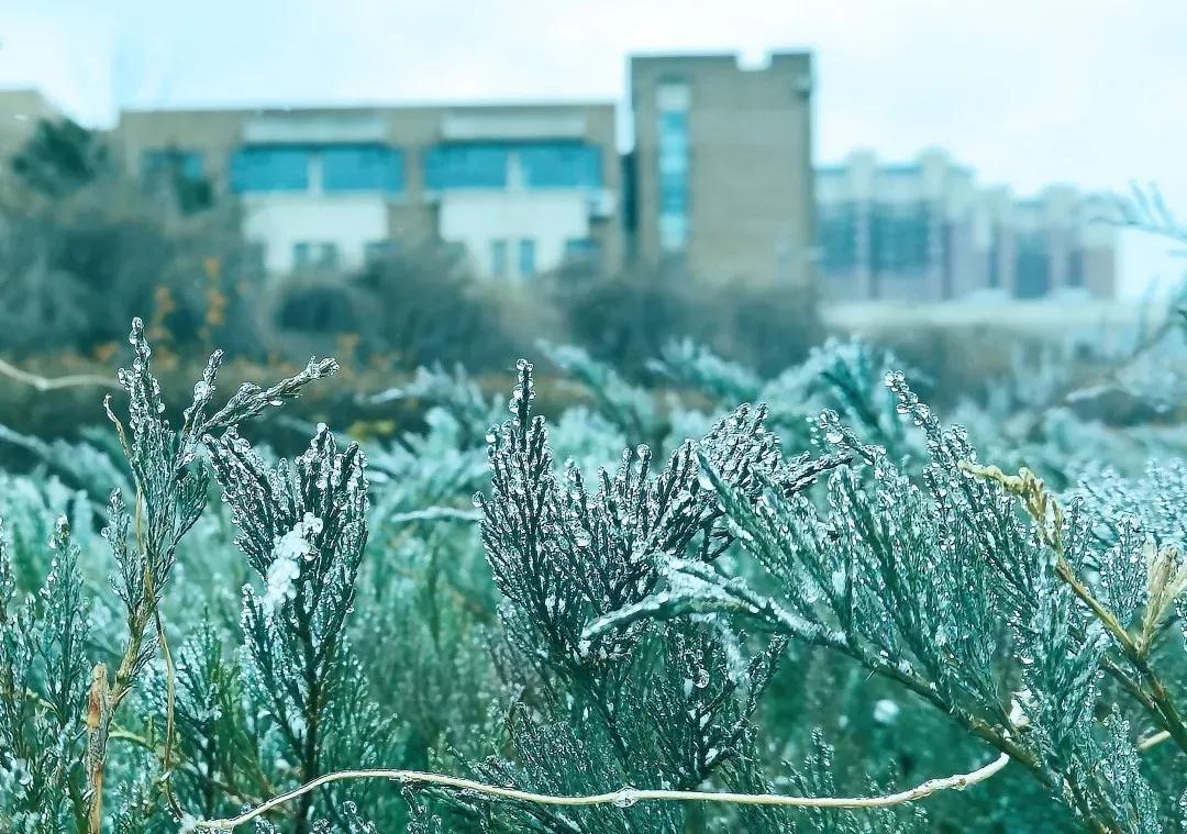 辽宁省普通高等院校（二十五）沈阳工程学院