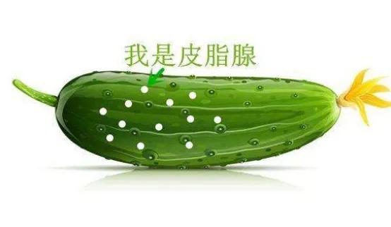 鼻子两侧毛孔粗大是什么原因,毛孔粗大原因及如何改善