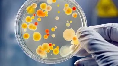 关于化妆品标签应该包含哪些内容,科普动画教你读懂化妆品标签