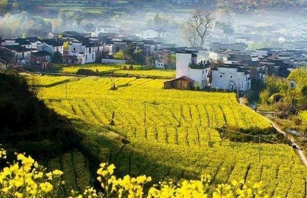 婺源旅游全攻略自由行,婺源旅游攻略一日游自由行
