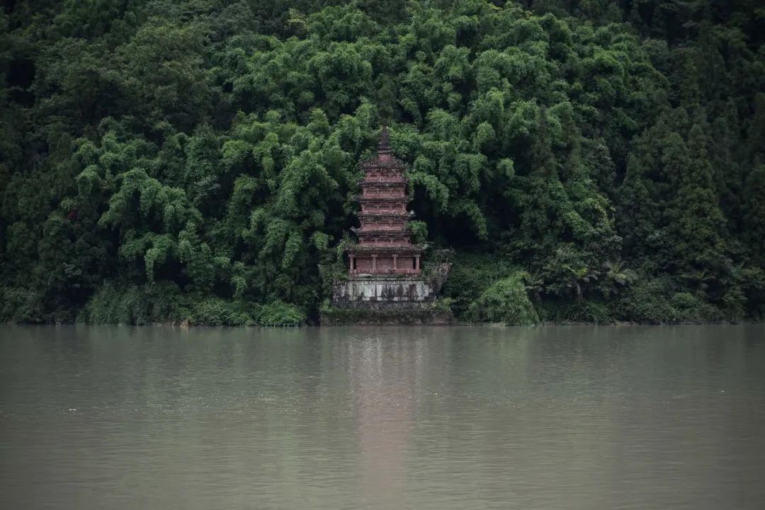 要想身体好常往洪雅跑标语,想身体好常往洪雅跑