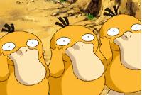 十种你肯定没见过的动物,令人惊艳的17种动物绝对罕见