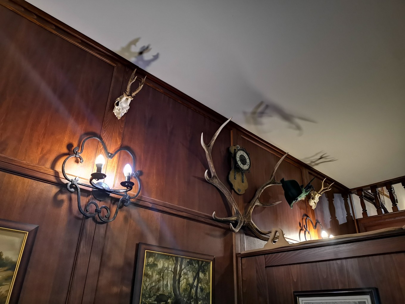 中欧旅游攻略多瑙河,中欧览秀城美食