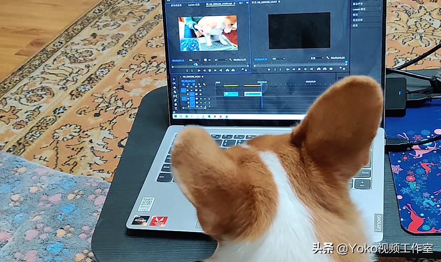 「网购电脑」五条注意事项！拼夕夕百亿补贴靠不靠谱？