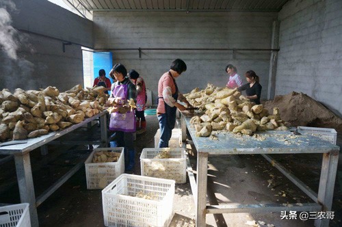 农民致富小本创业项目,合适30岁在家创业的小本生意