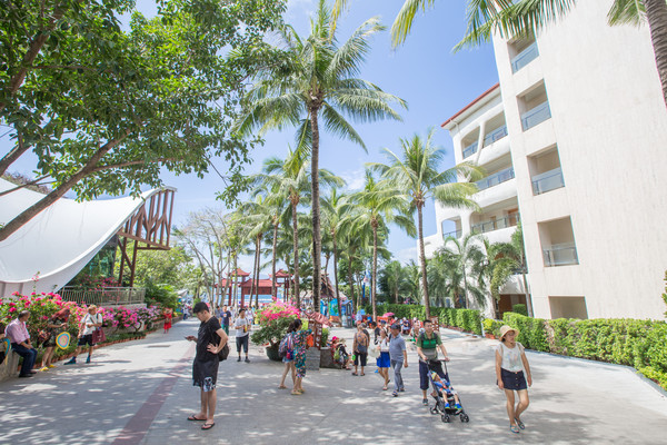 三亚烧钱项目,三亚最费钱的项目