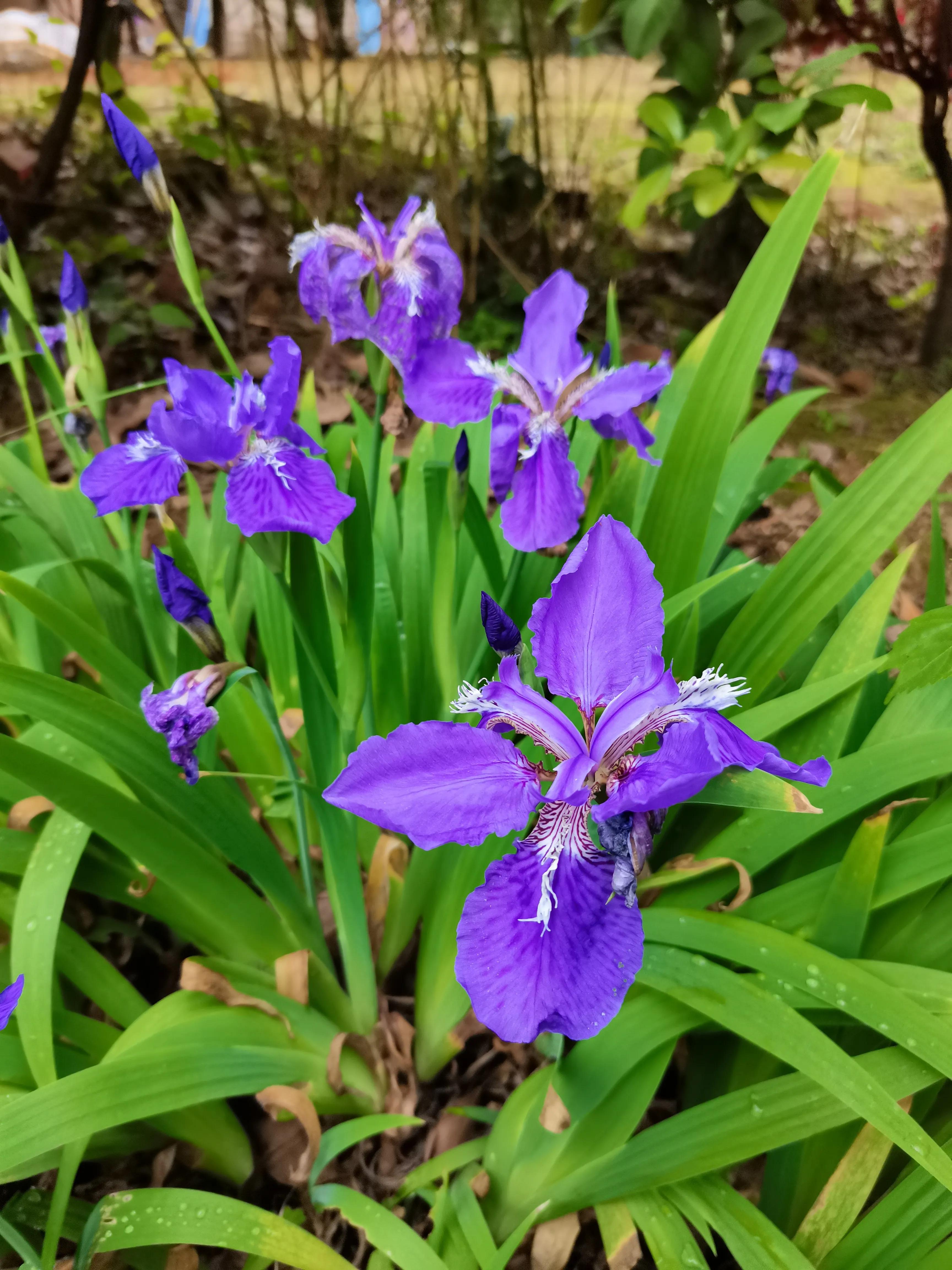 商场看购物小票,超市购物后你看小票吗