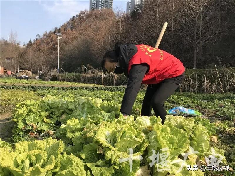 “打赢这场仗，就回去和你结婚”这是十堰最动人的告白