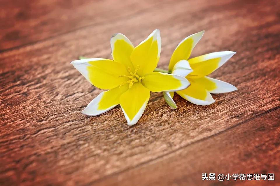 写关于味道的文章,独特的味道优秀文章叙事