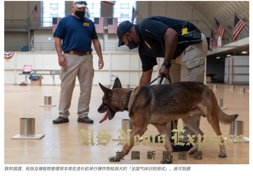 「锐视频」狗鼻子不灵不行美国警犬这样训的