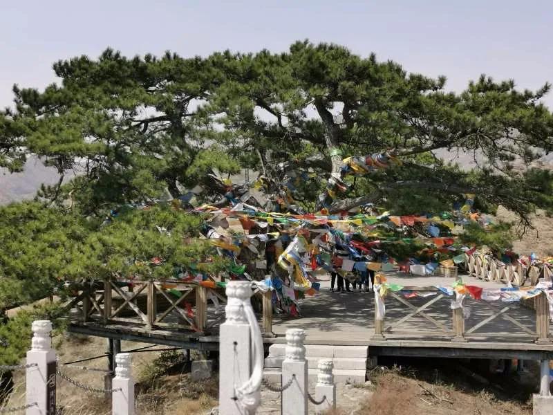 五当召特殊活佛—罗卜生（七）