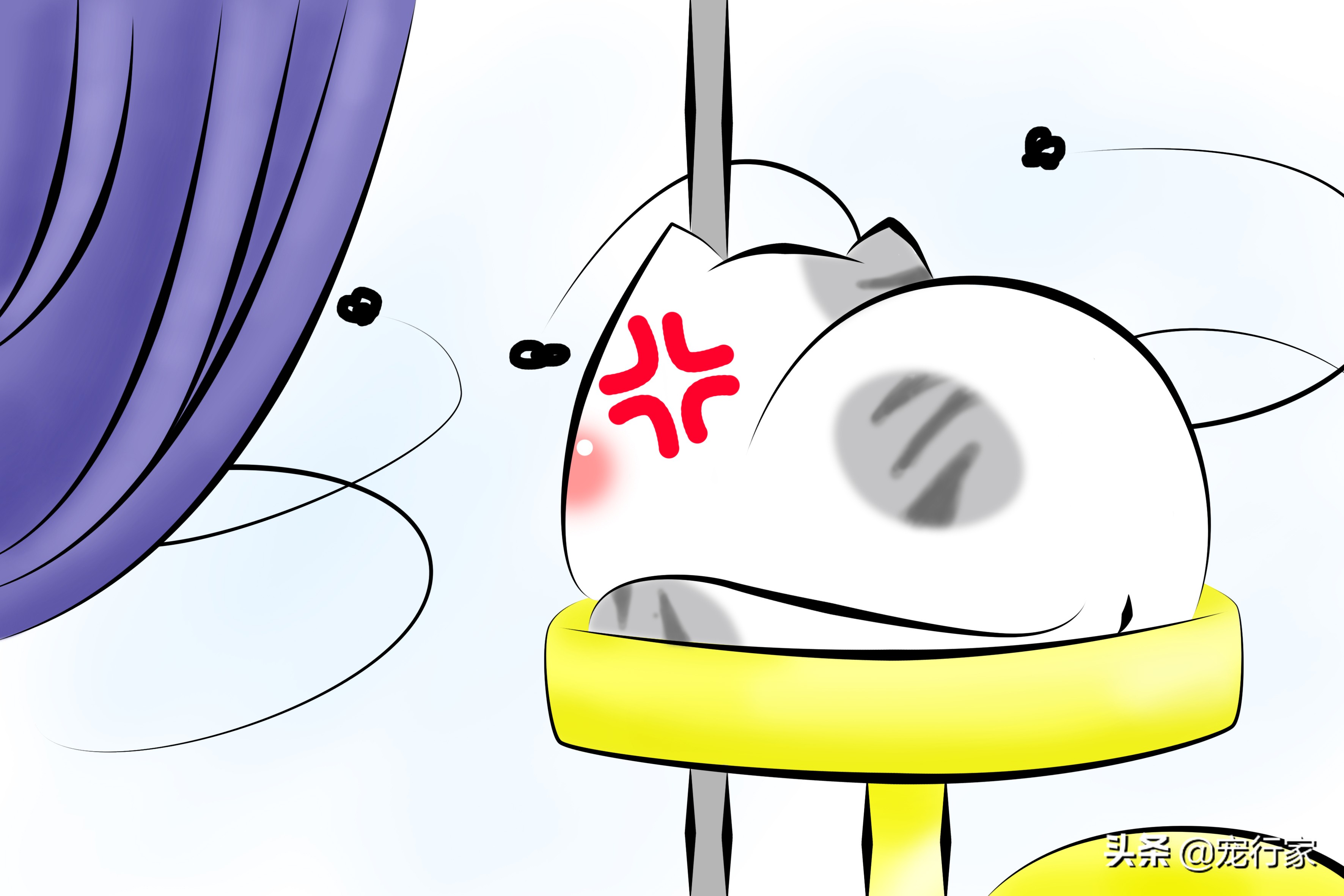 为什么猫咪抓到苍蝇就把它吃掉,猫咪爱吃苍蝇是要吃什么驱虫药