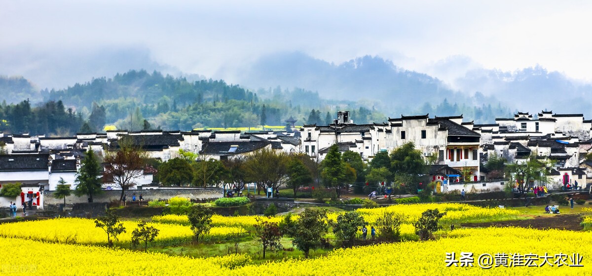 农民买房能够推动房地产吗,房地产调控会使房价大涨吗