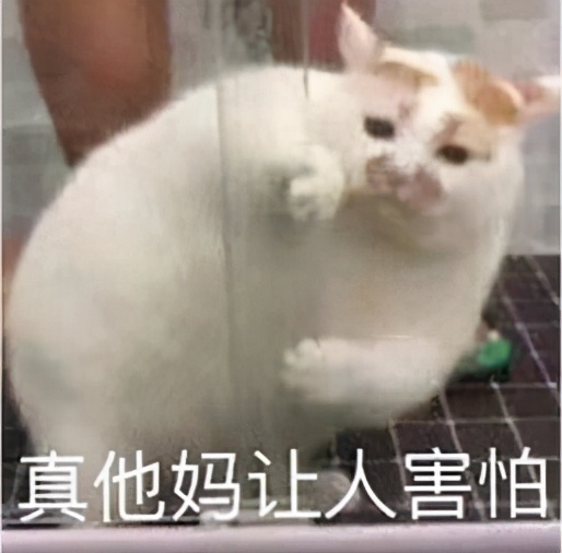 qq又上线新功能,qq的隐藏功能和玩法