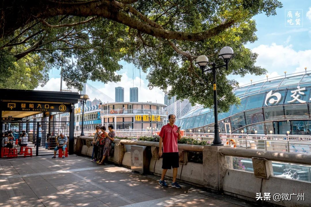 广州游船上吃早茶,广州船游珠江早茶