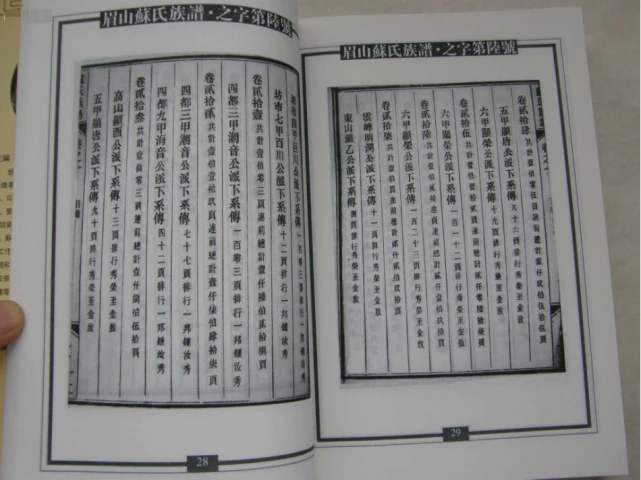 家谱之中的世系图有什么功能,家谱中的世系图的功能