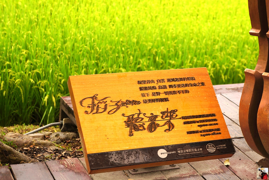 花东纵谷面积,花东纵谷什么意思