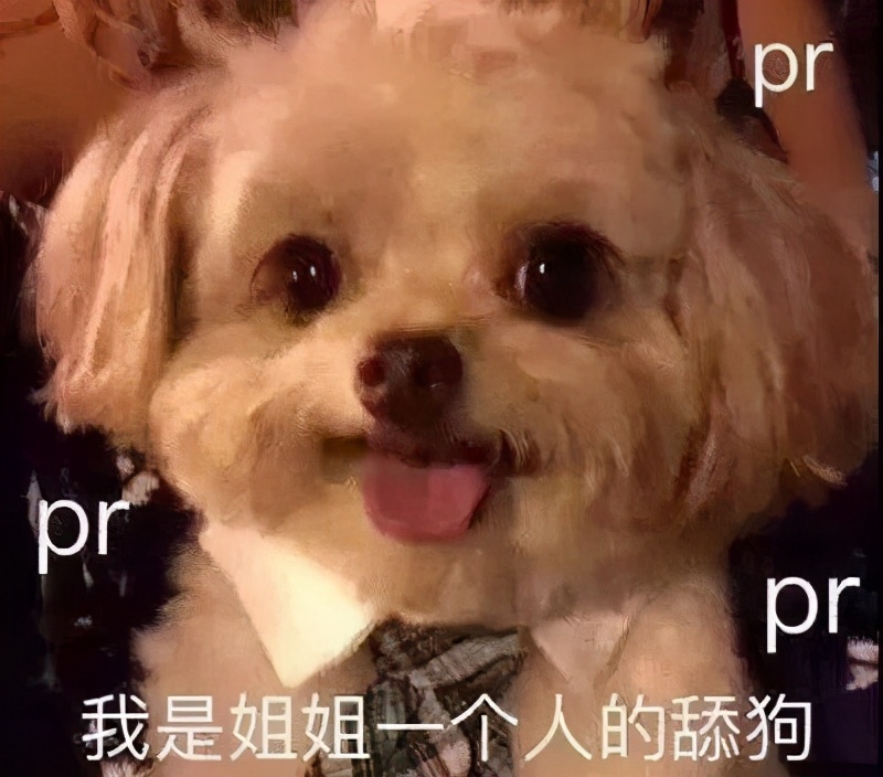 狗子偷偷亲我的第N次，难道不是真爱吗？