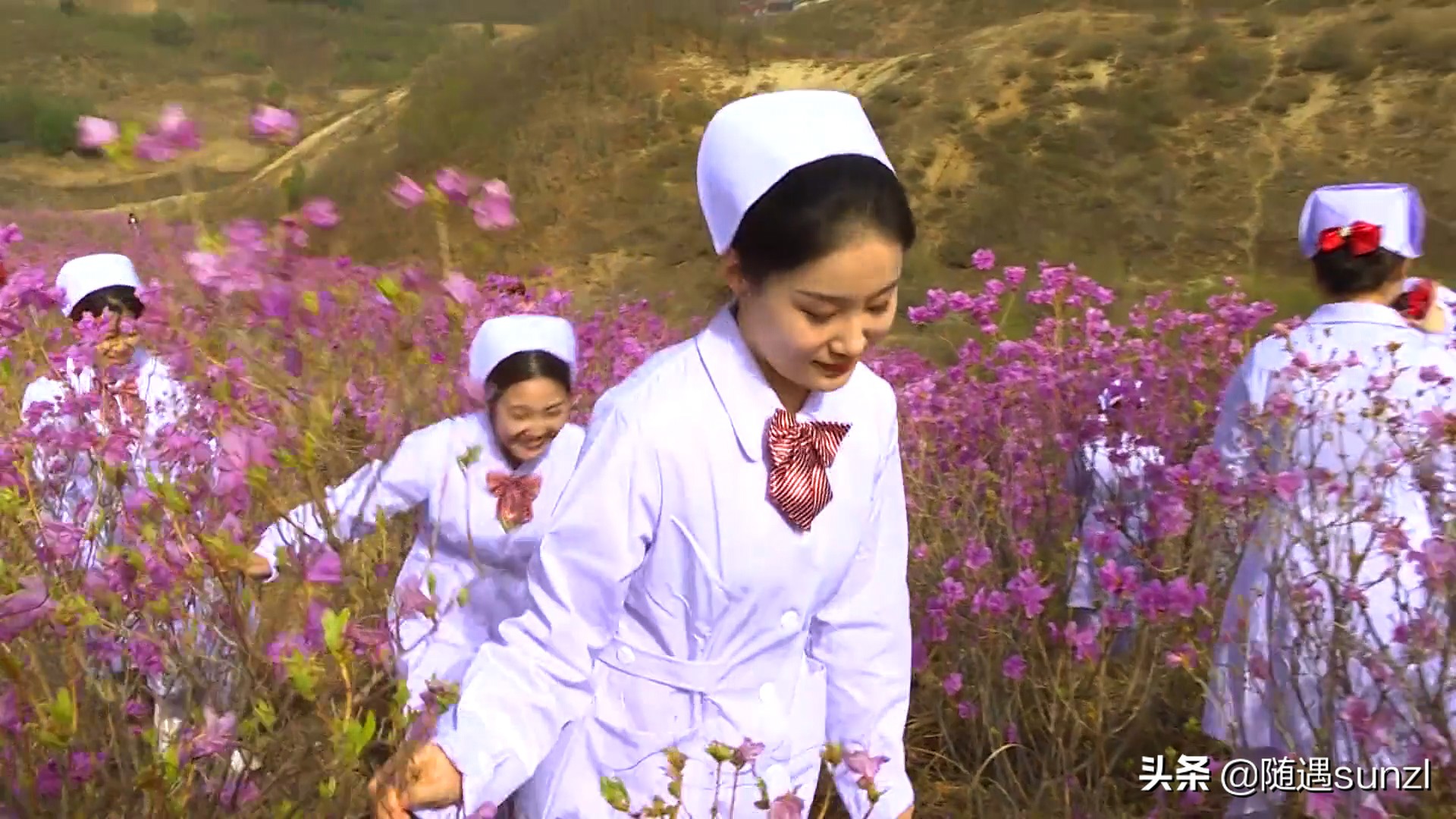 岫岩黄岭子映山红景区简介,岫岩开映山红在哪个地方